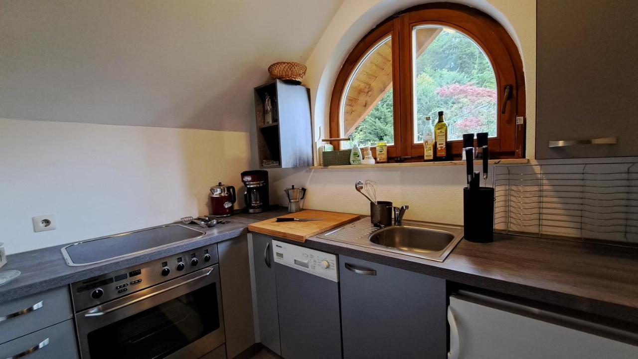 Gemuetliche Waldrandlage In Badenweiler Sehringen Ferienwohnung Εξωτερικό φωτογραφία
