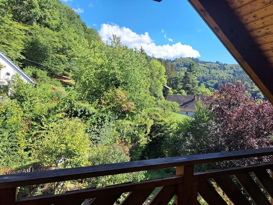 Gemuetliche Waldrandlage In Badenweiler Sehringen Ferienwohnung Εξωτερικό φωτογραφία