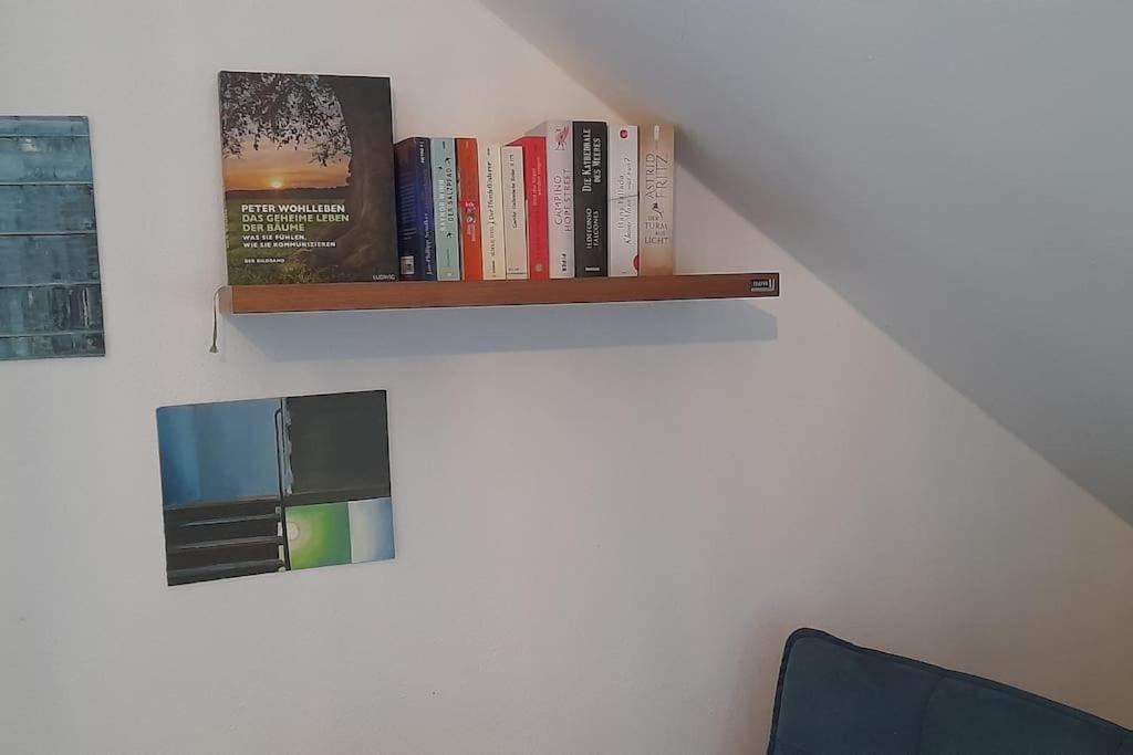 Gemuetliche Waldrandlage In Badenweiler Sehringen Ferienwohnung Εξωτερικό φωτογραφία