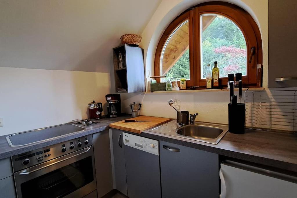 Gemuetliche Waldrandlage In Badenweiler Sehringen Ferienwohnung Εξωτερικό φωτογραφία