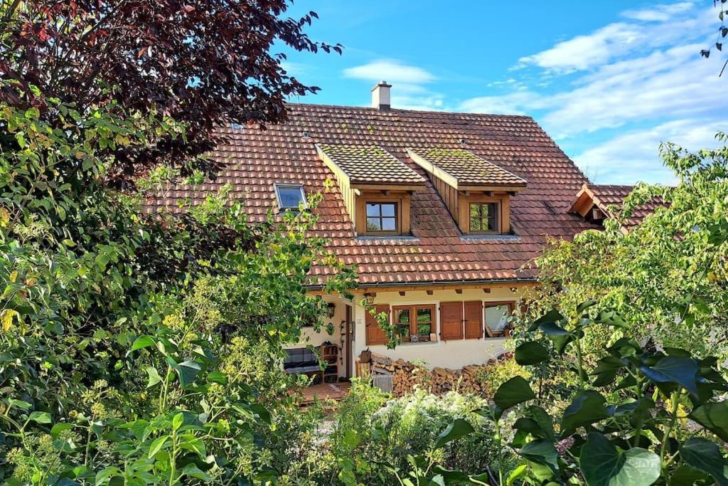 Gemuetliche Waldrandlage In Badenweiler Sehringen Ferienwohnung Εξωτερικό φωτογραφία