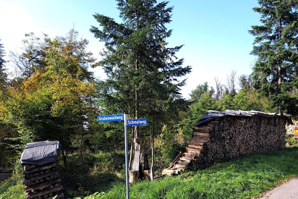 Gemuetliche Waldrandlage In Badenweiler Sehringen Ferienwohnung Εξωτερικό φωτογραφία