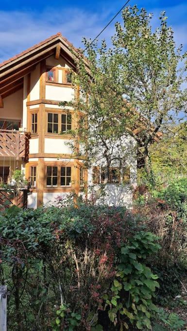 Gemuetliche Waldrandlage In Badenweiler Sehringen Ferienwohnung Εξωτερικό φωτογραφία