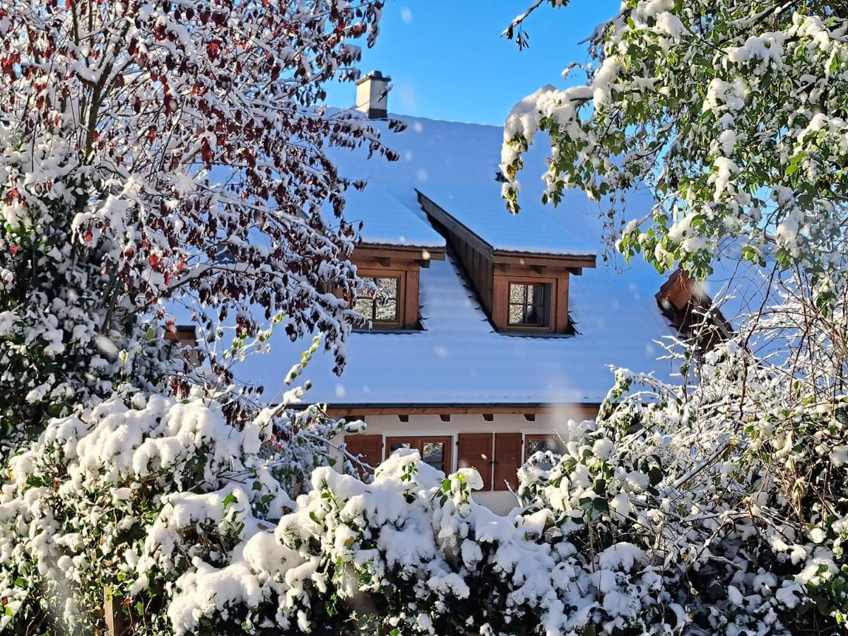 Gemuetliche Waldrandlage In Badenweiler Sehringen Ferienwohnung Εξωτερικό φωτογραφία