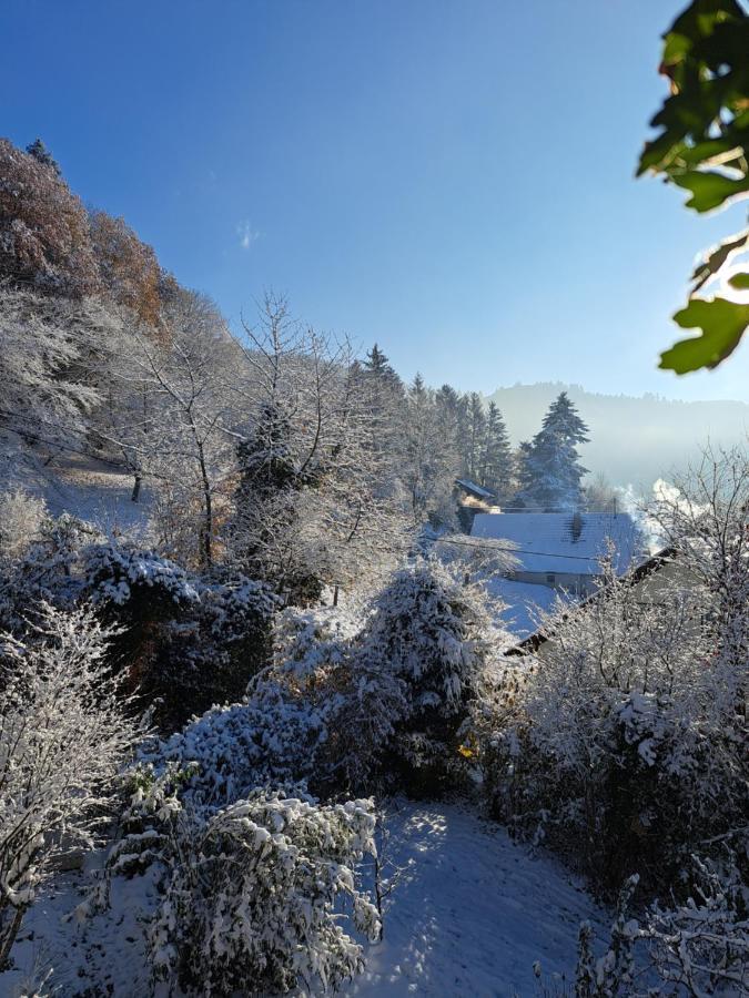 Gemuetliche Waldrandlage In Badenweiler Sehringen Ferienwohnung Εξωτερικό φωτογραφία