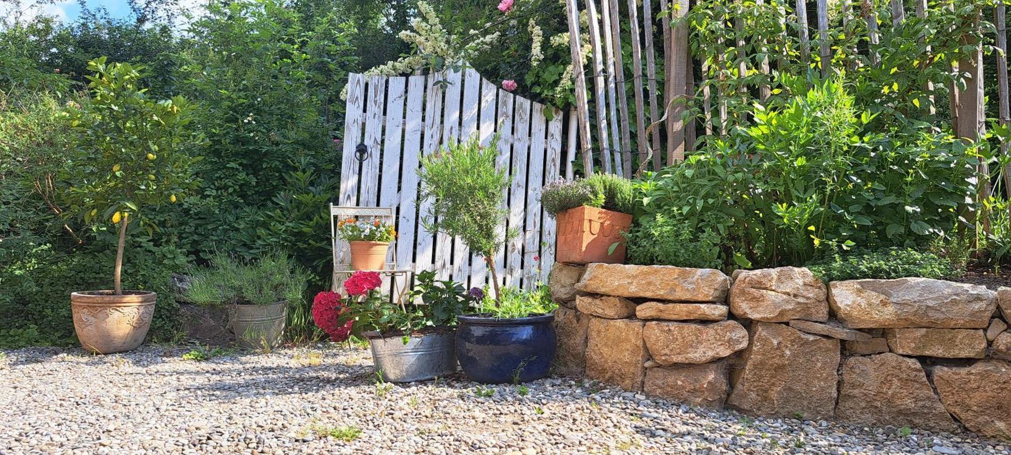 Gemuetliche Waldrandlage In Badenweiler Sehringen Ferienwohnung Εξωτερικό φωτογραφία