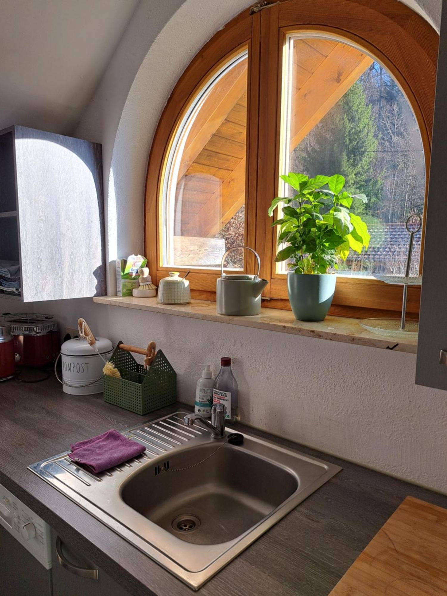 Gemuetliche Waldrandlage In Badenweiler Sehringen Ferienwohnung Εξωτερικό φωτογραφία